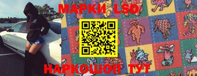 гашик Шебекино