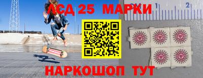 гидра Шахты