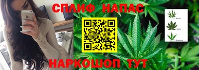 гидра Шахты