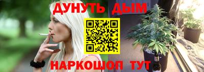 гашик Шебекино